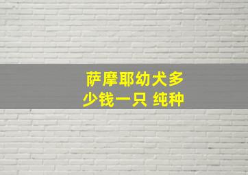 萨摩耶幼犬多少钱一只 纯种